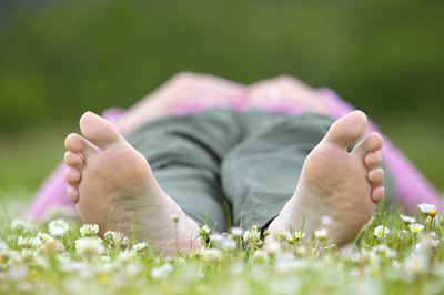 Woman lying in field of daisies on a summer day, Cairngorms National Park, Scotland 